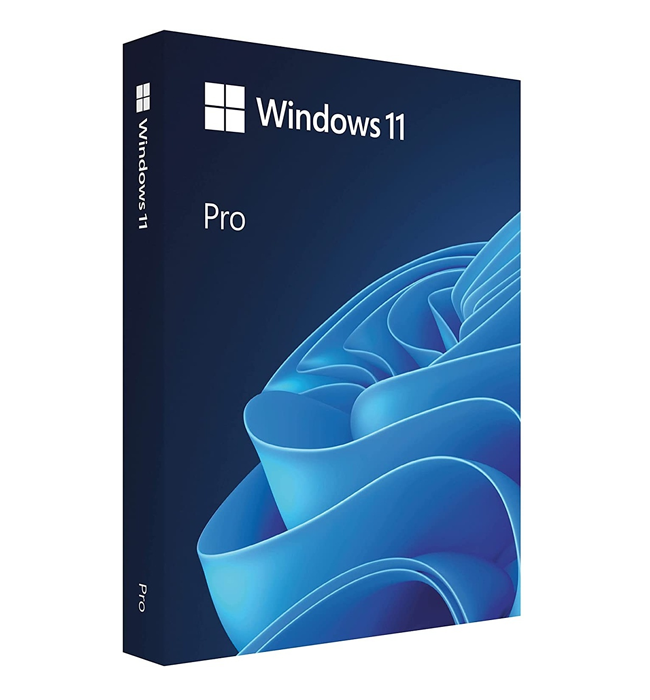 Windows 11 Pro